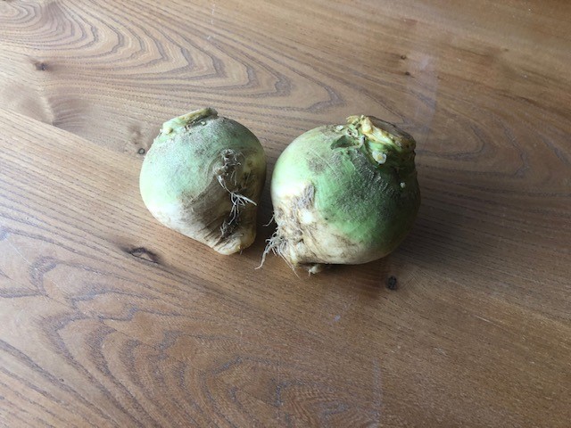 Rutabaga